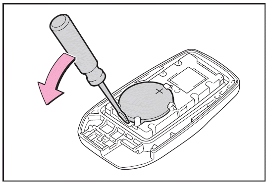 Austausch der Batterie